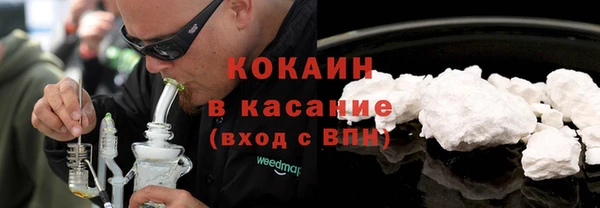 твердый Алзамай