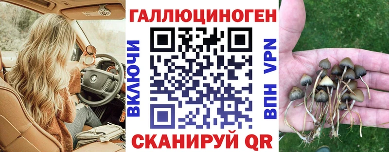 Галлюциногенные грибы мухоморы Ясный